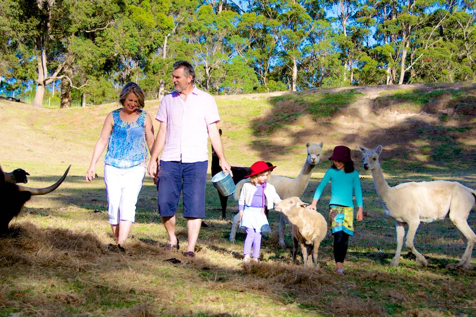 John and Rhonda and two children feeding the alpacas and sheep.