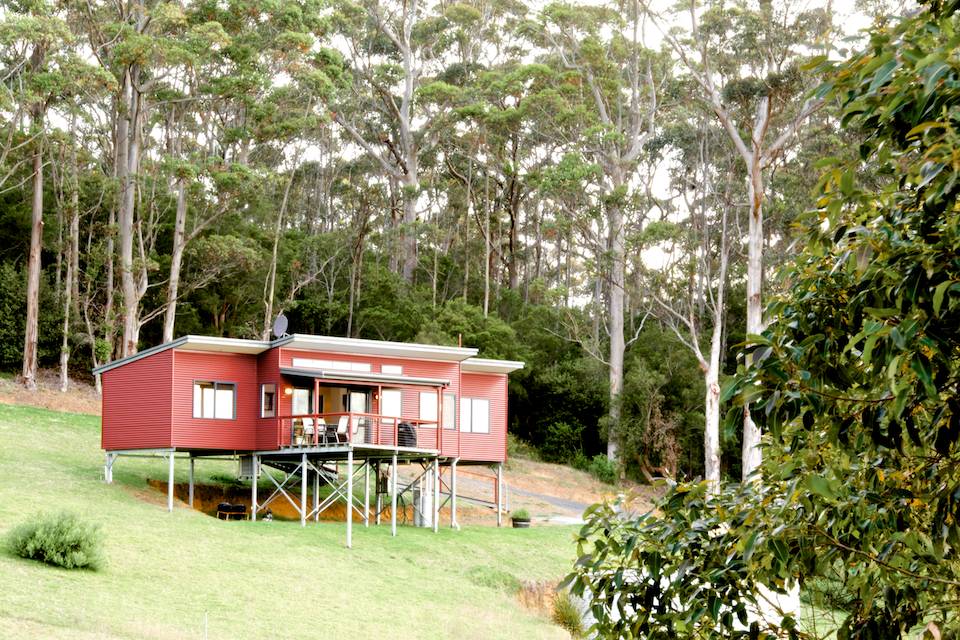 The outside of the Redgum chalet on the hillside with the karri forest behind.