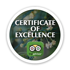 Certificate of Excellence button